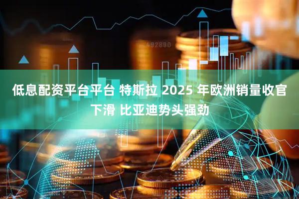 低息配资平台平台 特斯拉 2025 年欧洲销量收官下滑 比亚迪势头强劲